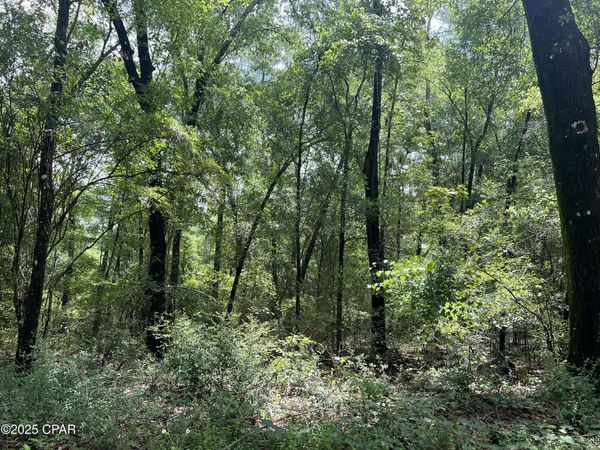 Lot 23 Remington Place, Bonifay, FL 32425