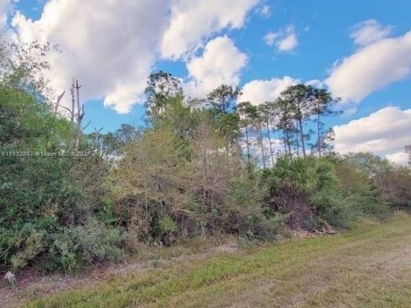 305 Yeehaw Ave, Clewiston, FL 33040