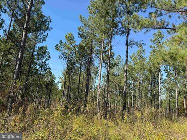 WOODFORK ROAD (RT. 650) (TRACT ROGERS-4), CHARLOTTE COURT HOUSE, VA 23923