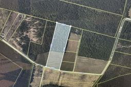 Lot 1 W G Rd. photo 4