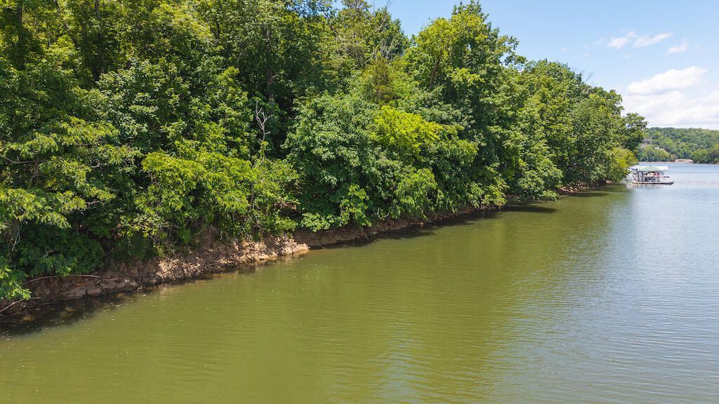 Lot 205 Acres Ct, Lynch Station, VA 24571 Main Photo