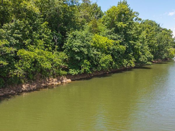 Lot 205 Acres CT, Lynch Station, VA 24571