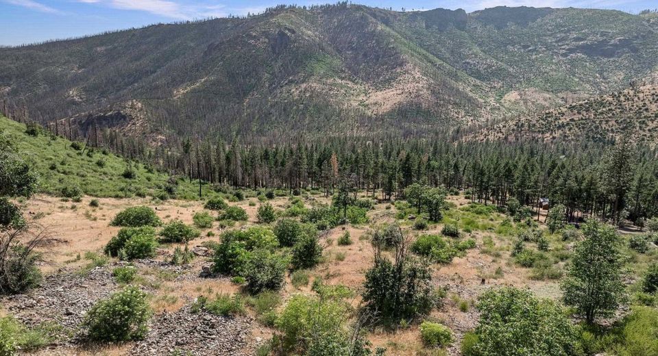 7150 Diamond Mountain Road, Taylorsville, CA 95983 Photo