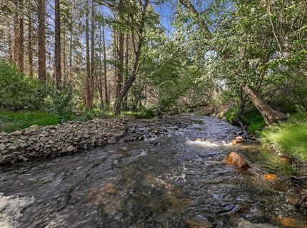 7150 Diamond Mountain Road, Taylorsville, CA 95983 Photo