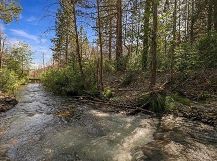 7150 Diamond Mountain Road, Taylorsville, CA 95983 Photo