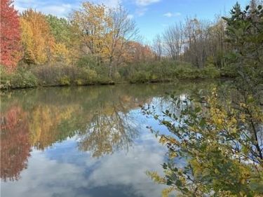 5696 Neff Road, Constableville, NY 13325