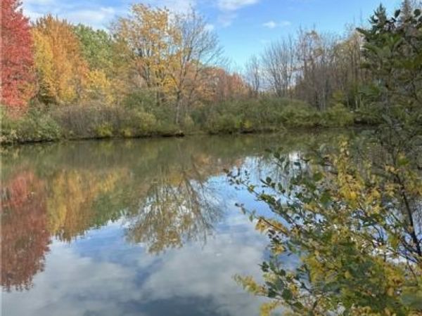 5696 Neff Road, Constableville, NY 13325