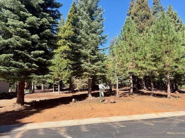 311 Alpine Fir Road, Lake Almanor, CA 96137
