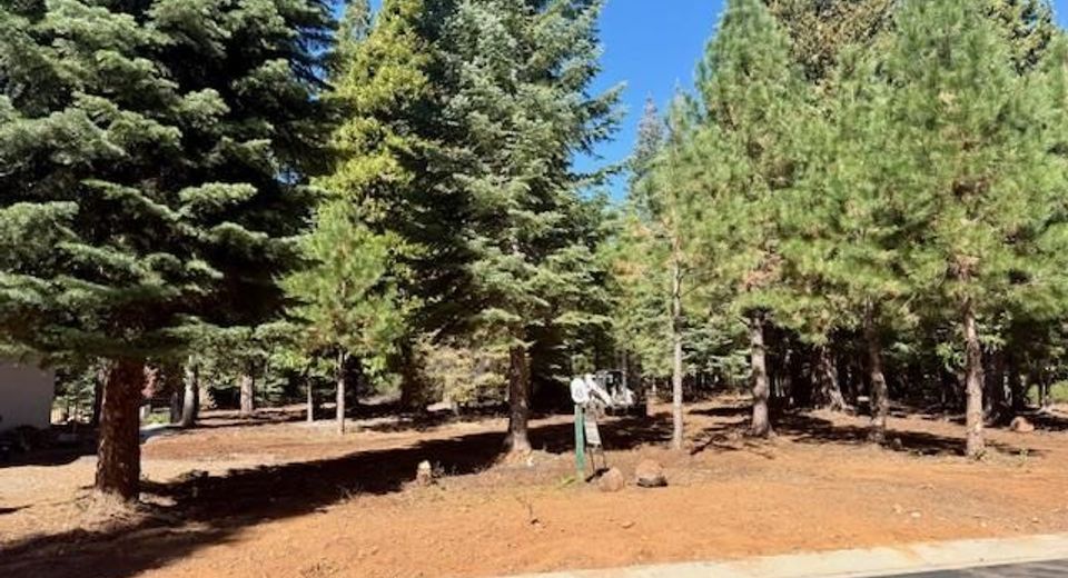 311 Alpine Fir Road, Lake Almanor, CA 96137 Photo