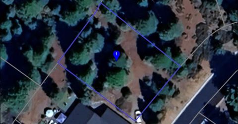 311 Alpine Fir Road, Lake Almanor, CA 96137 Photo