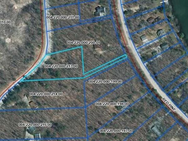 V/L Ess Lake Drive, Hillman, MI 49746