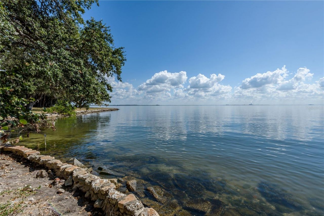 6210 Bayshore Boulevard, Tampa, FL 33611 Photo