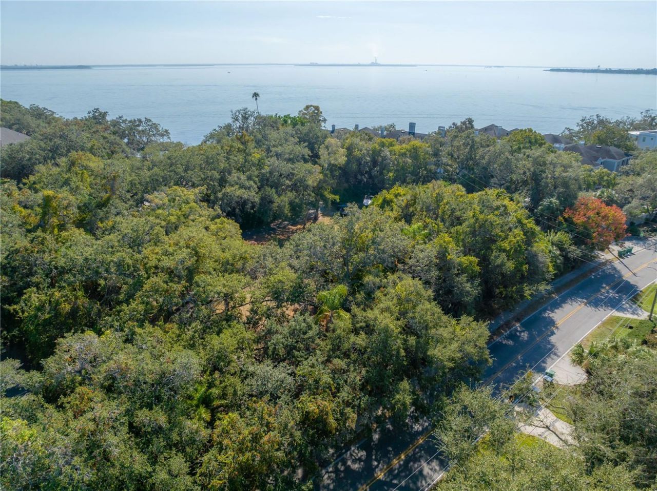 6210 Bayshore Boulevard, Tampa, FL 33611 Photo