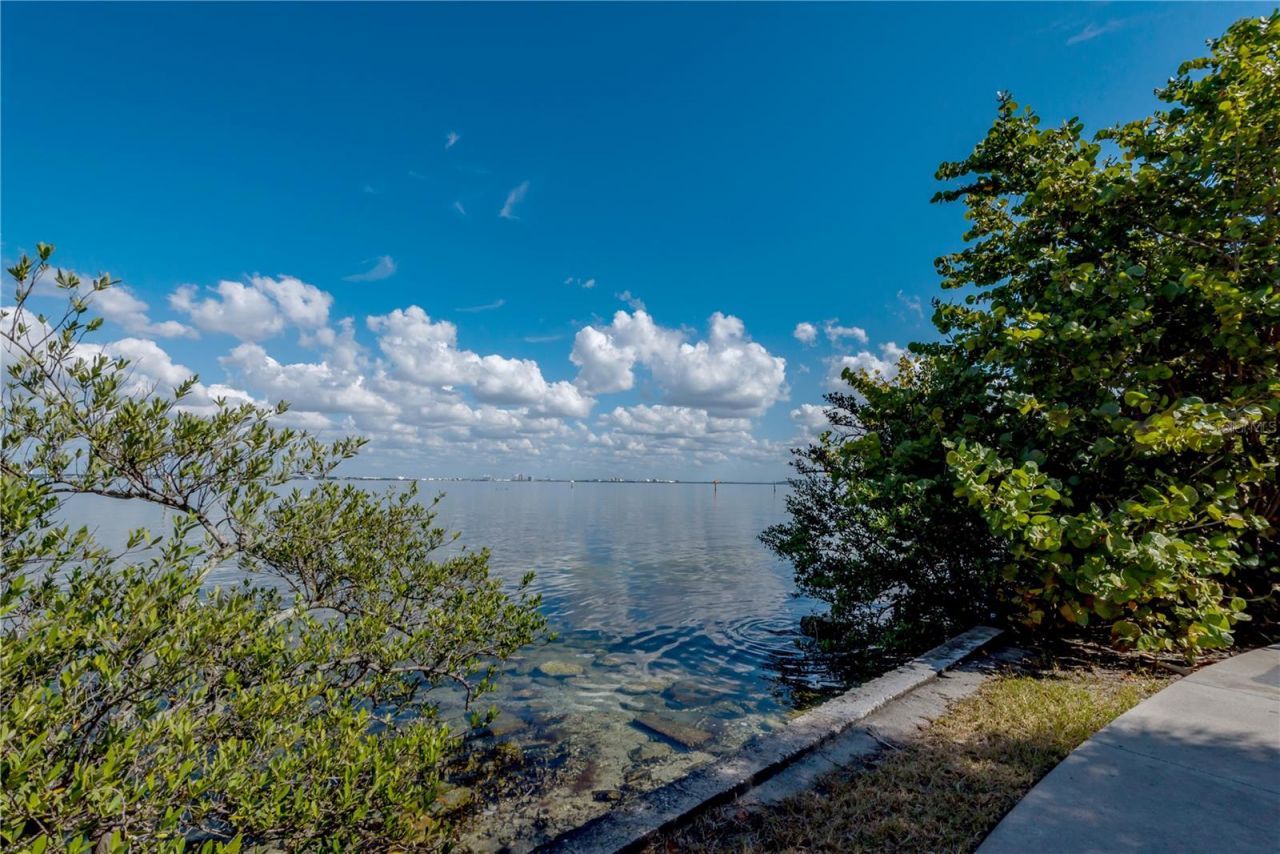 6210 Bayshore Boulevard, Tampa, FL 33611 Photo