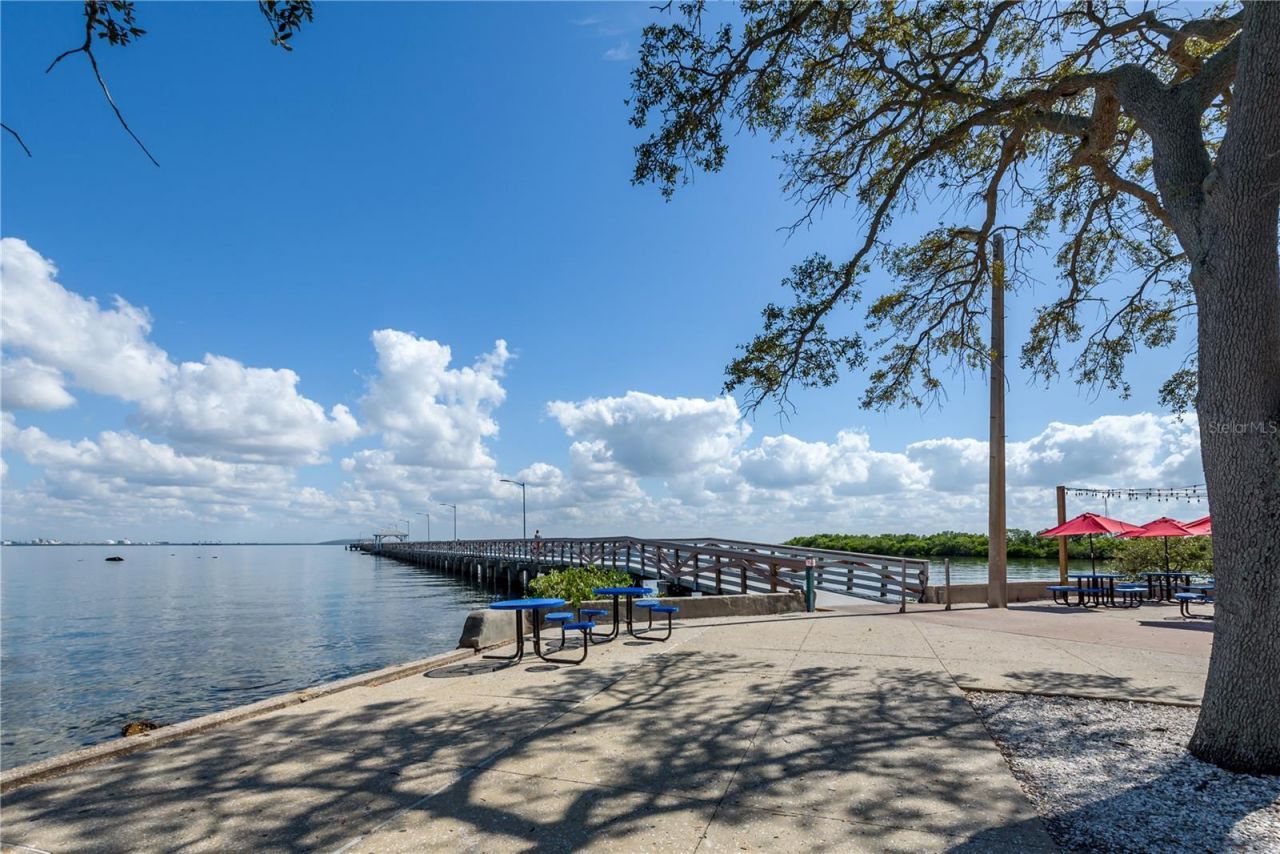 6210 Bayshore Boulevard, Tampa, FL 33611 Photo