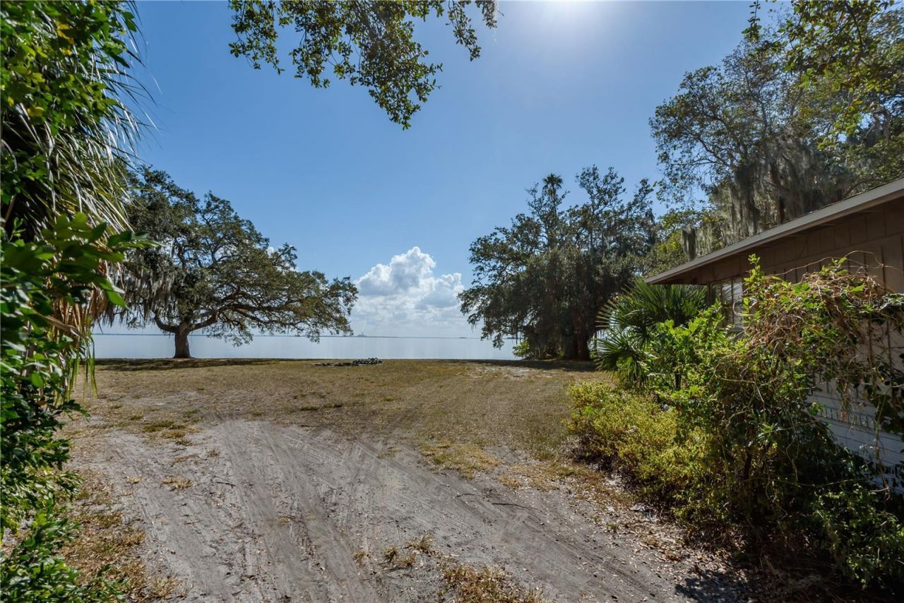 6210 Bayshore Boulevard, Tampa, FL 33611 Photo