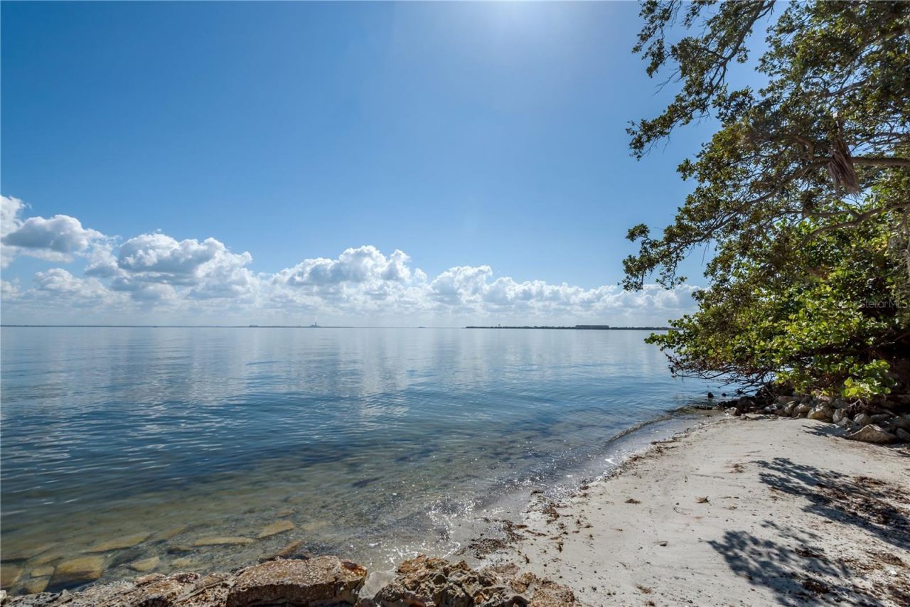 6210 Bayshore Boulevard, Tampa, FL 33611 Photo