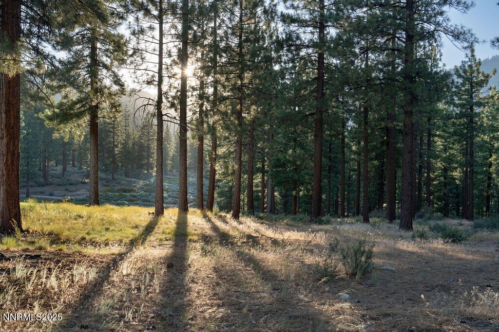 191 Cartwright Court, Lot #246, Carson City, NV 89705 Photo