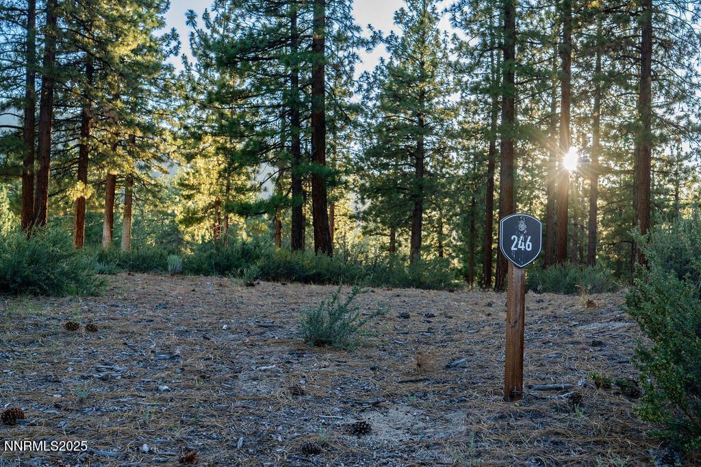 191 Cartwright Court, Lot #246, Carson City, NV 89705 Photo