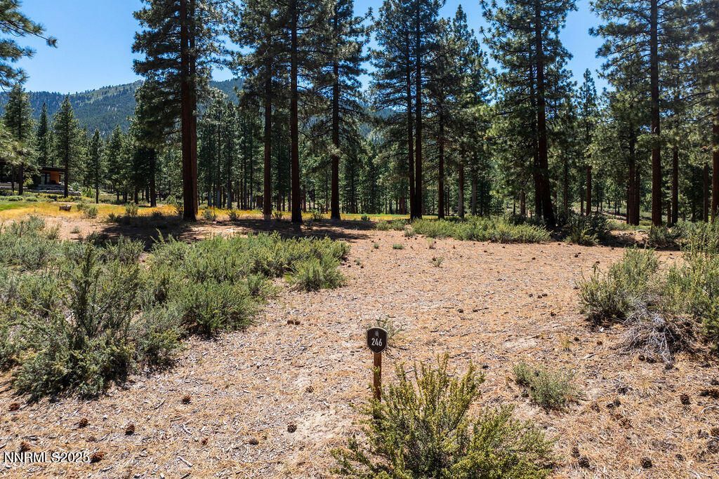 191 Cartwright Court, Lot #246, Carson City, NV 89705 Photo