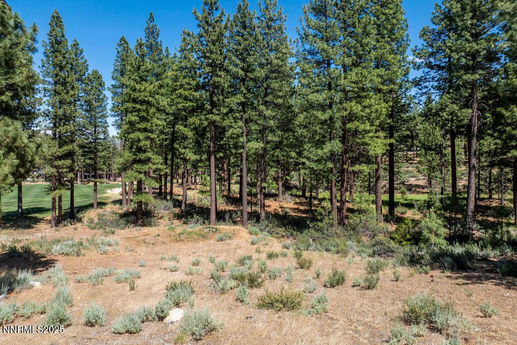 191 Cartwright Court, Lot #246, Carson City, NV 89705 Photo