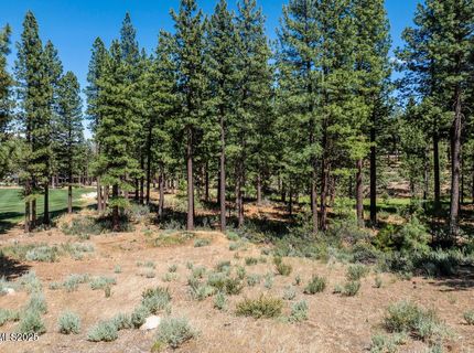 191 Cartwright Court, Lot #246, Carson City, NV 89705 Photo