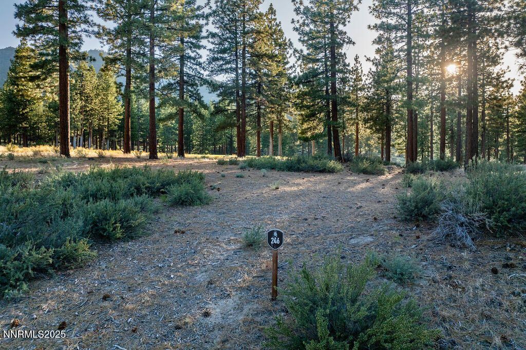 191 Cartwright Court, Lot #246, Carson City, NV 89705 Photo