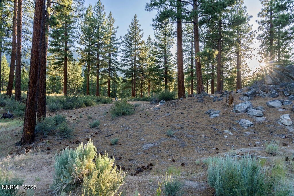 191 Cartwright Court, Lot #246, Carson City, NV 89705 Photo