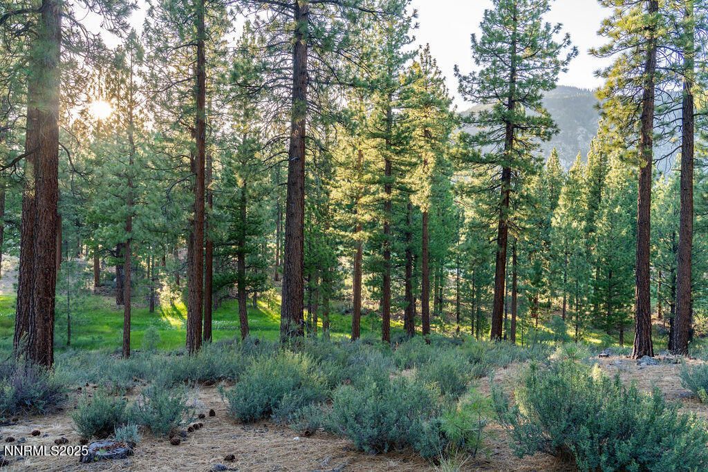 191 Cartwright Court, Lot #246, Carson City, NV 89705 Photo