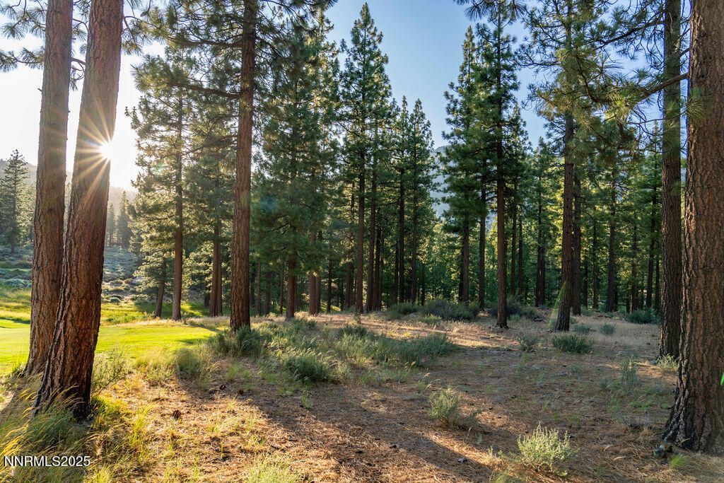 191 Cartwright Court, Lot #246, Carson City, NV 89705 Photo