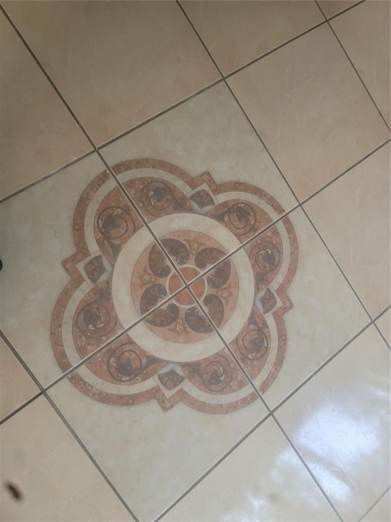 5125 Puritan Circle, Unit 1103, Tampa, FL 33617 Photo