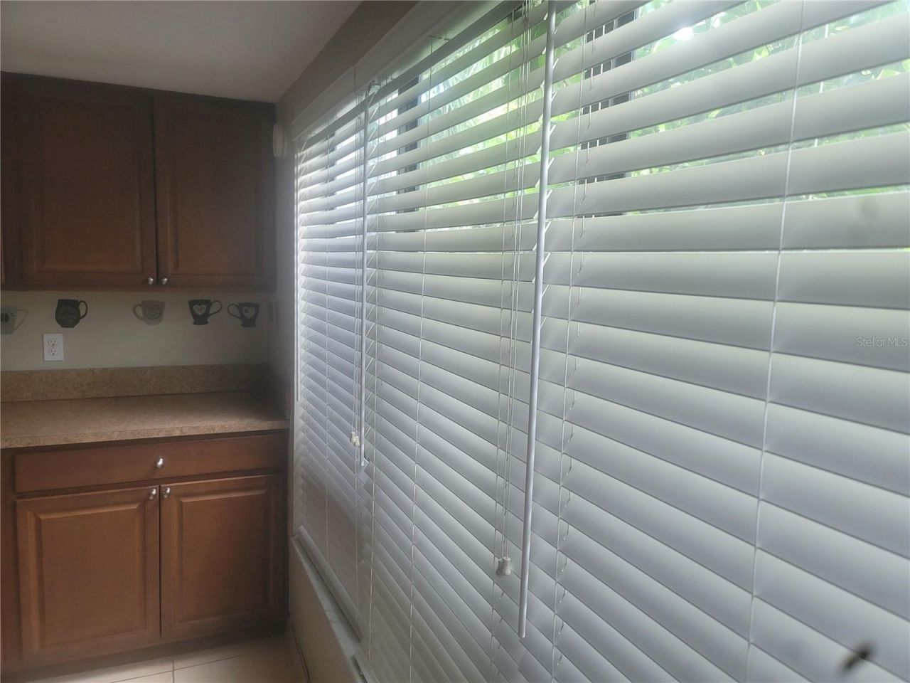 5125 Puritan Circle, Unit 1103, Tampa, FL 33617 Photo