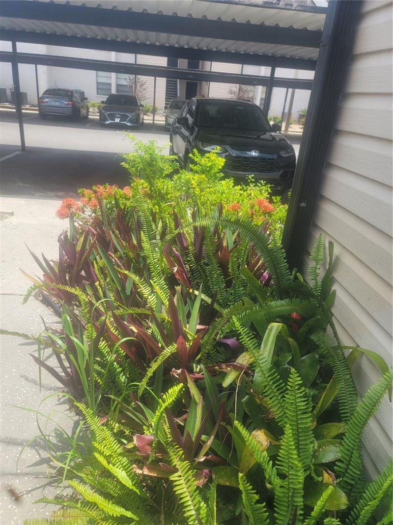 5125 Puritan Circle, Unit 1103, Tampa, FL 33617 Photo