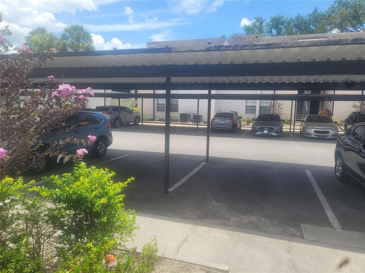 5125 Puritan Circle, Unit 1103, Tampa, FL 33617 Photo