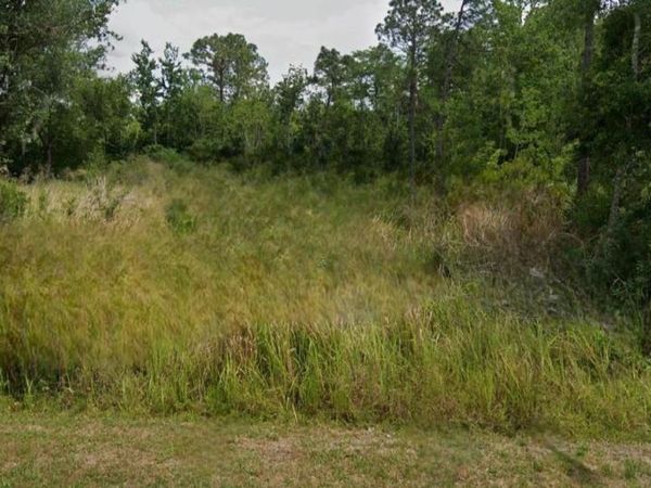 110 SAN BENITO WAY, KISSIMMEE, FL 34758