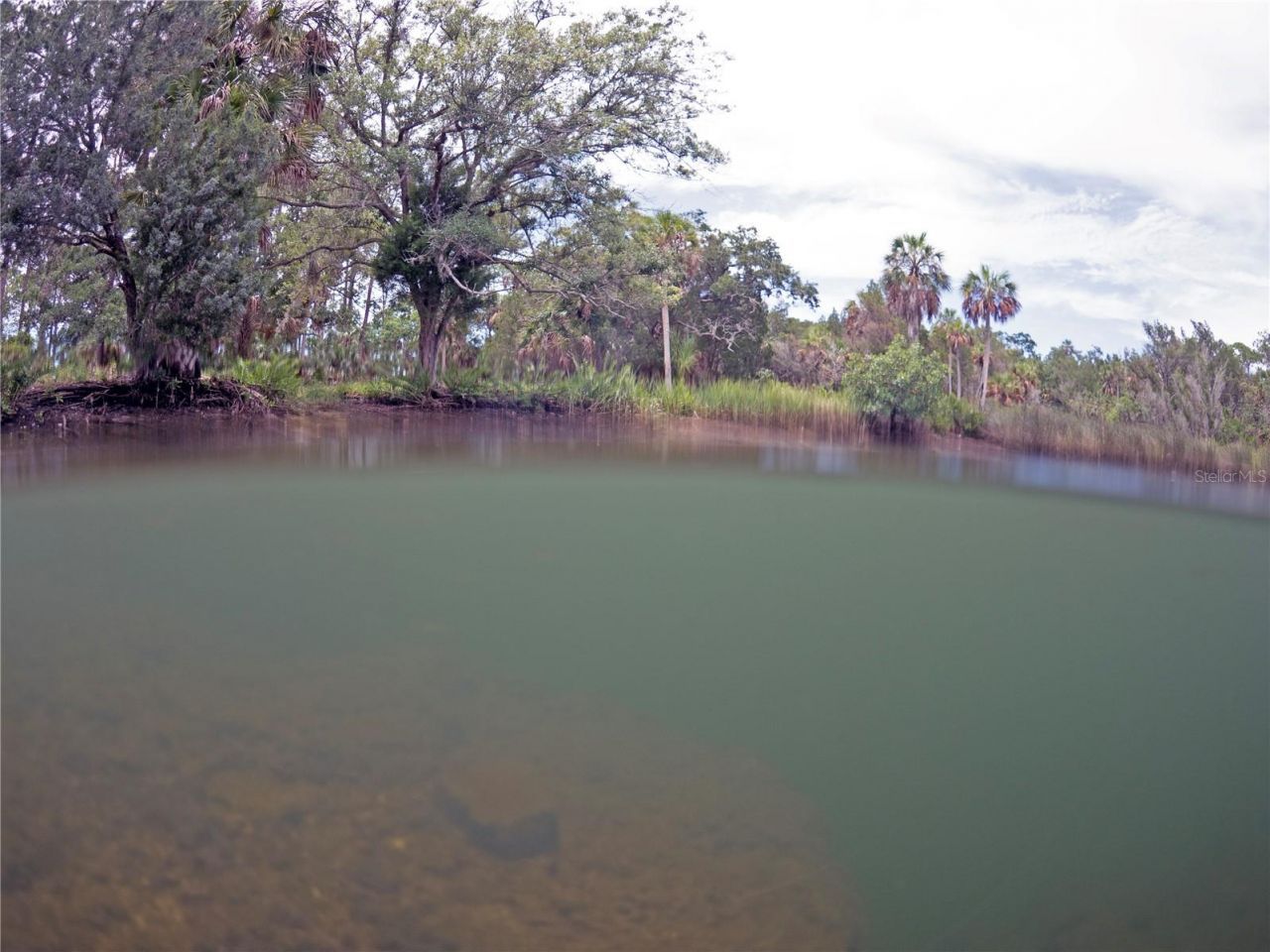 0 Marys Fish Camp Road, Spring Hill, FL 34607 Photo