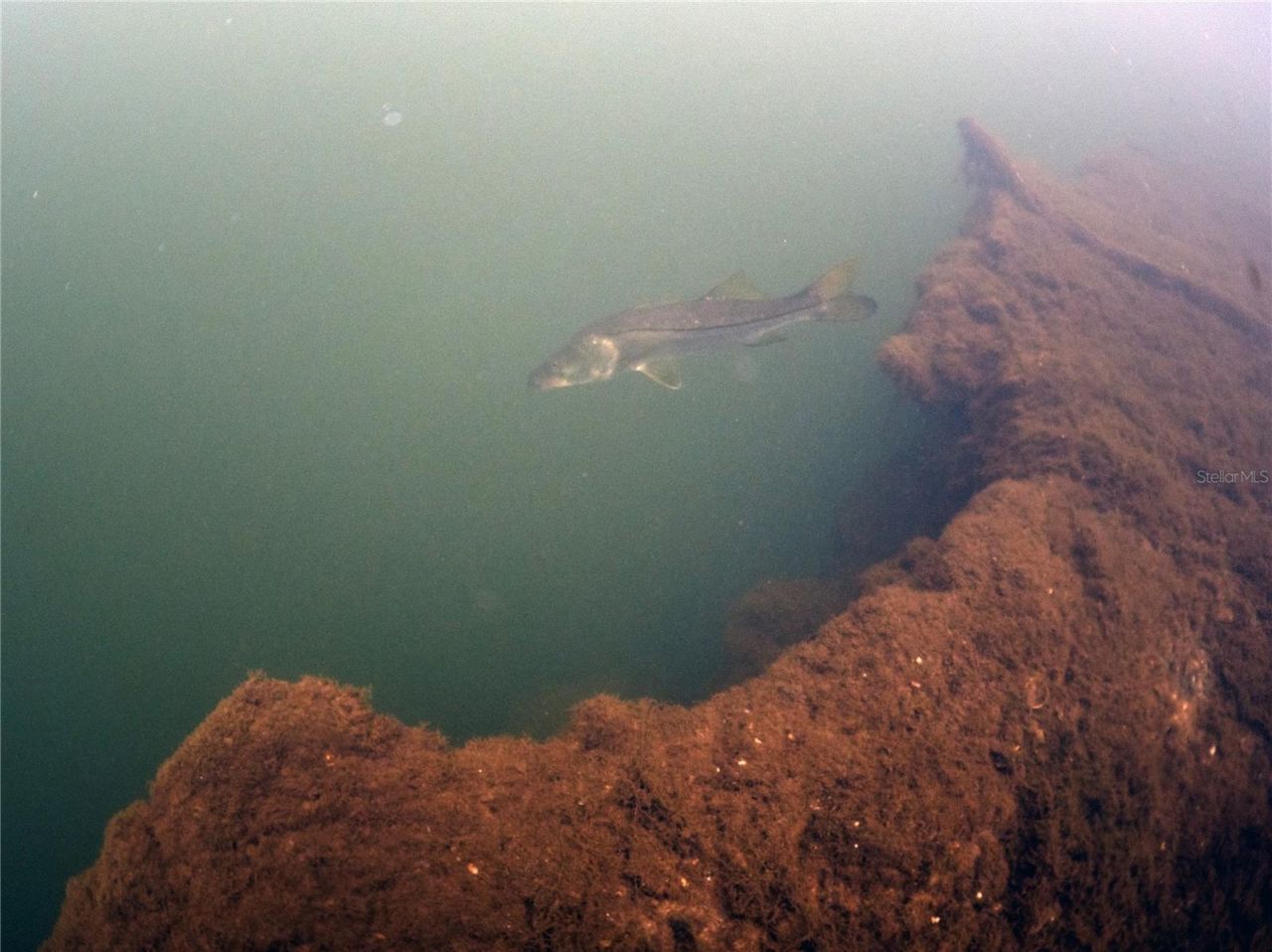 0 Marys Fish Camp Road, Spring Hill, FL 34607 Photo