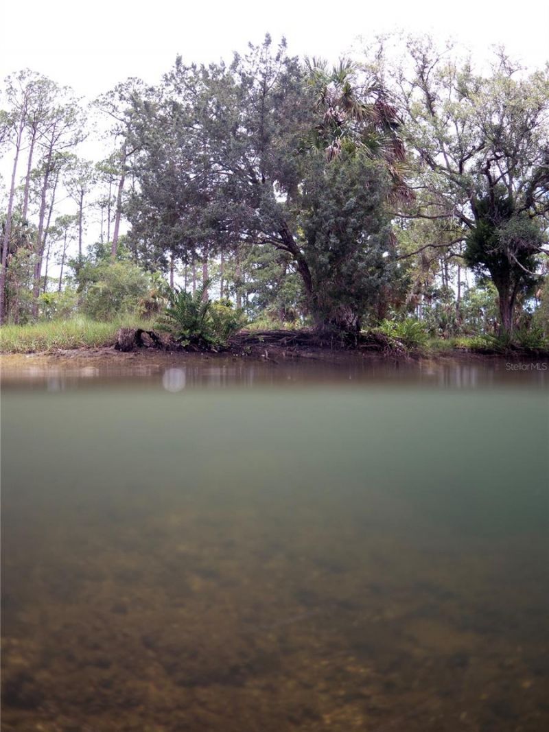0 Marys Fish Camp Road, Spring Hill, FL 34607 Photo