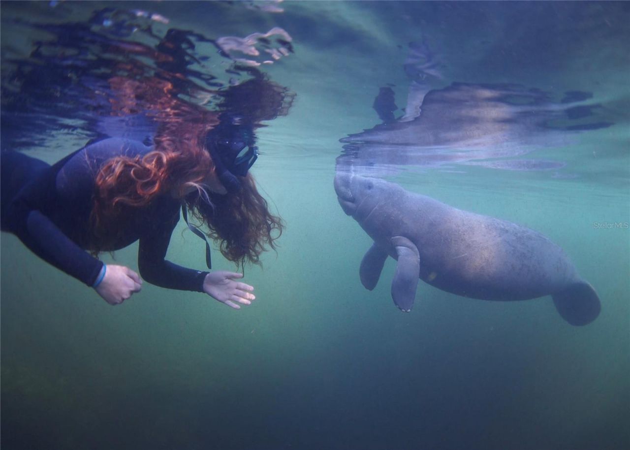 0 Marys Fish Camp Road, Spring Hill, FL 34607 Photo