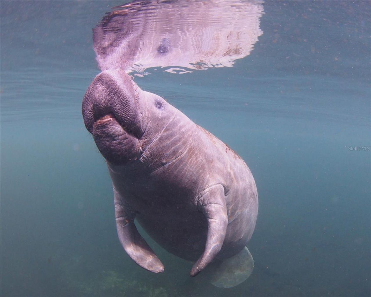 0 Marys Fish Camp Road, Spring Hill, FL 34607 Photo