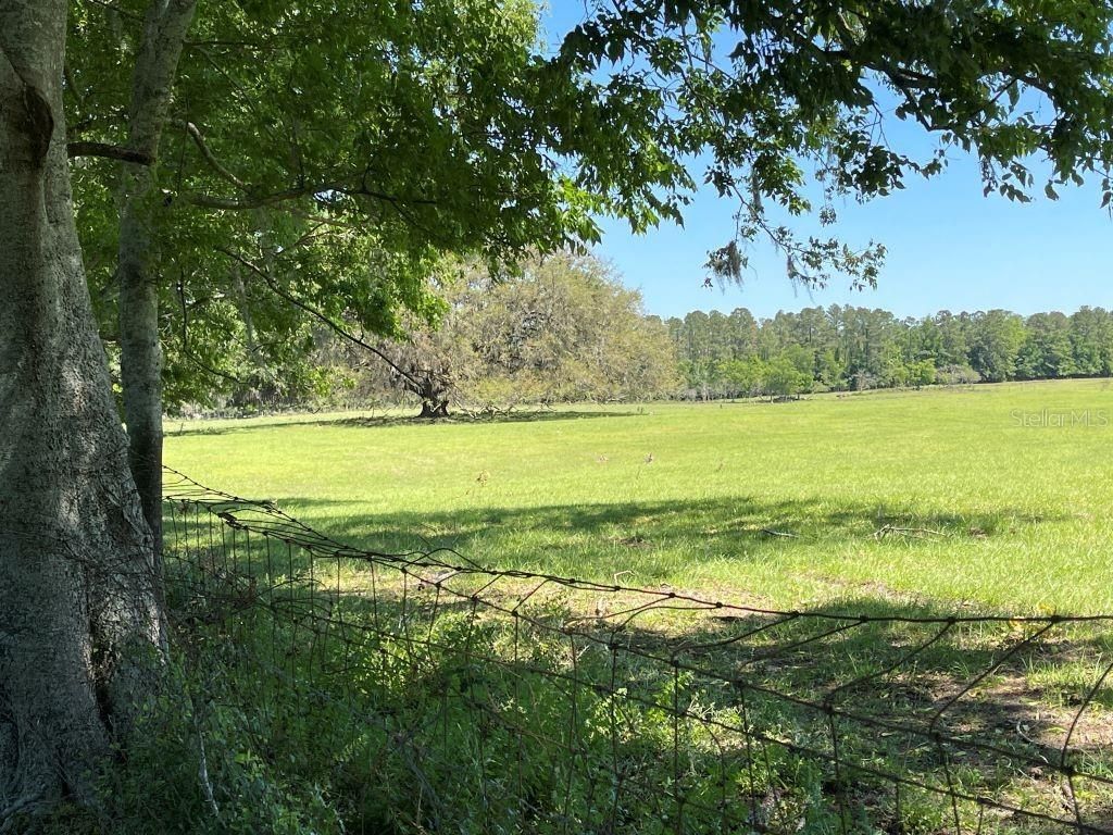 19450 Block NW 94th Avenue, Alachua, FL 32615 Photo