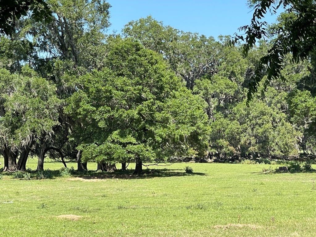 19450 Block NW 94th Avenue, Alachua, FL 32615 Photo