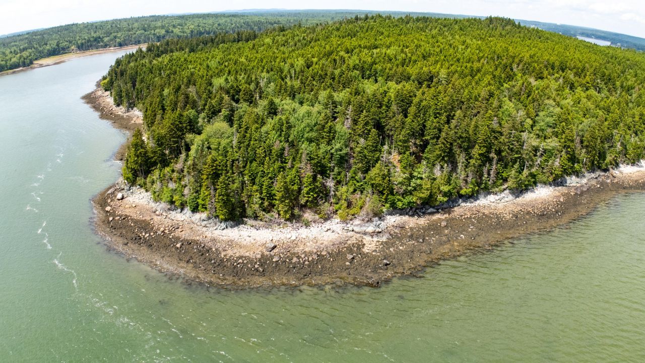 Lots 2&4 Looks Cemetery Road, Jonesboro, ME 04648 Main Photo