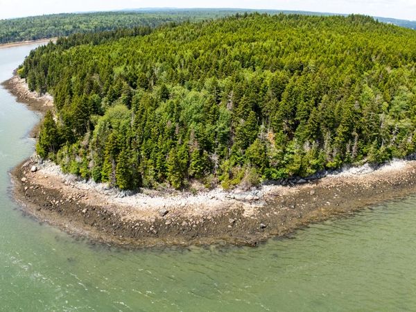 Lots 2&4 Looks Cemetery Road, Jonesboro, ME 04648