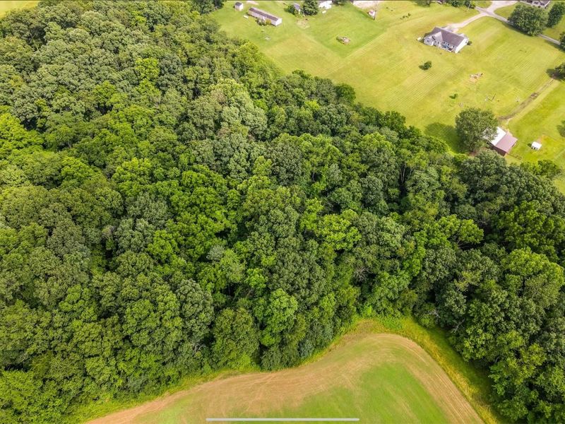 14632 Township Rd 202, Crooksville, OH 43731 Photo 55