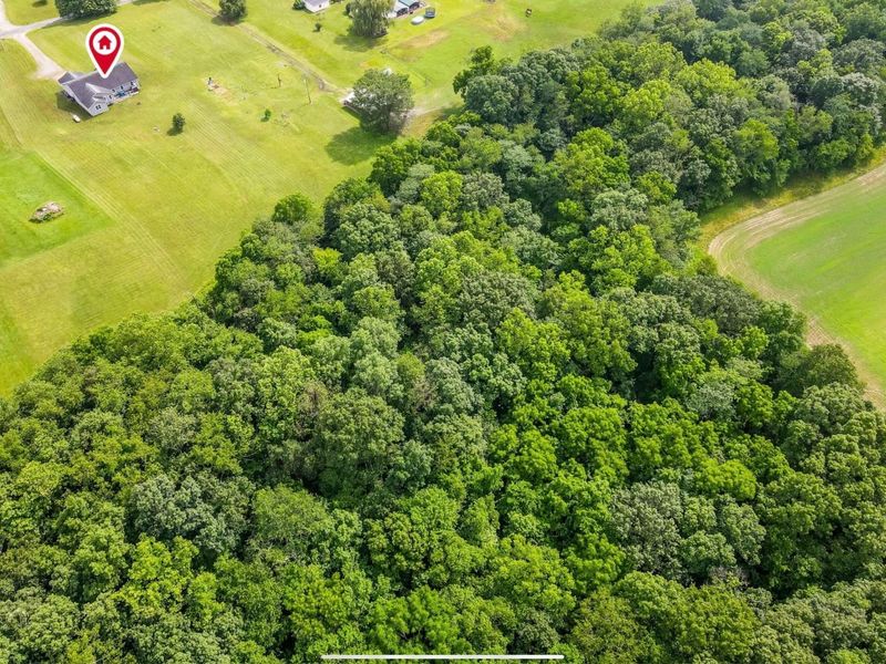 14632 Township Rd 202, Crooksville, OH 43731 Photo 56