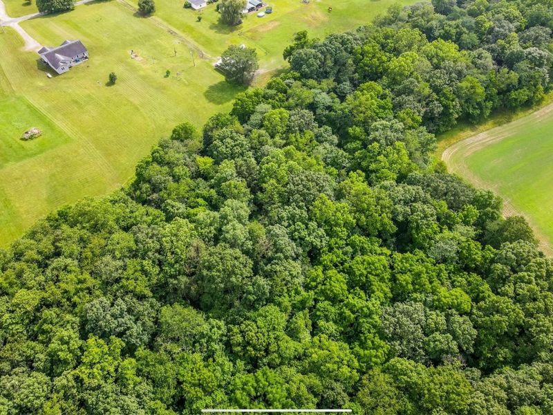 14632 Township Rd 202, Crooksville, OH 43731 Photo 57