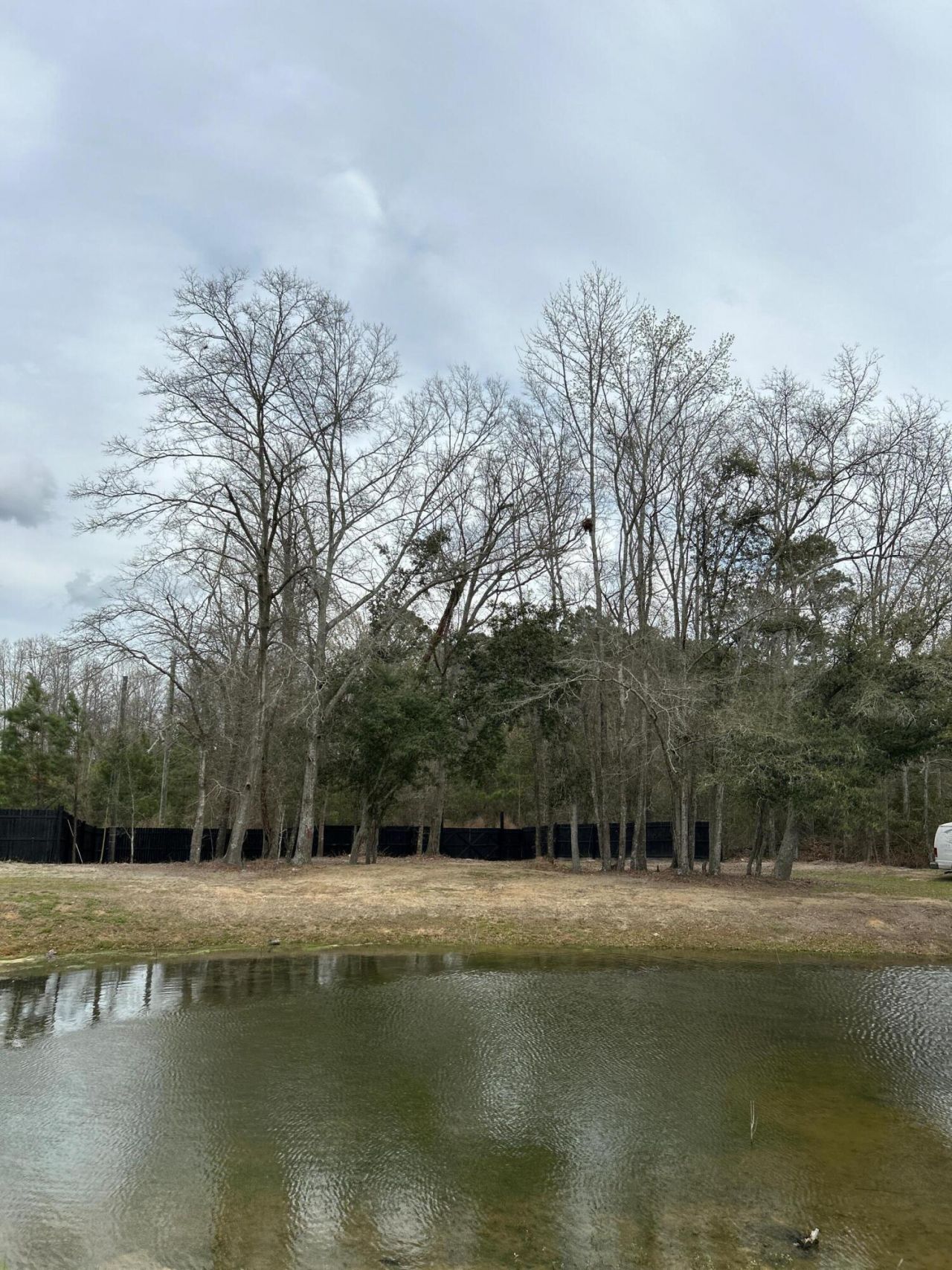 266 Wesley Grove Road Photo 53