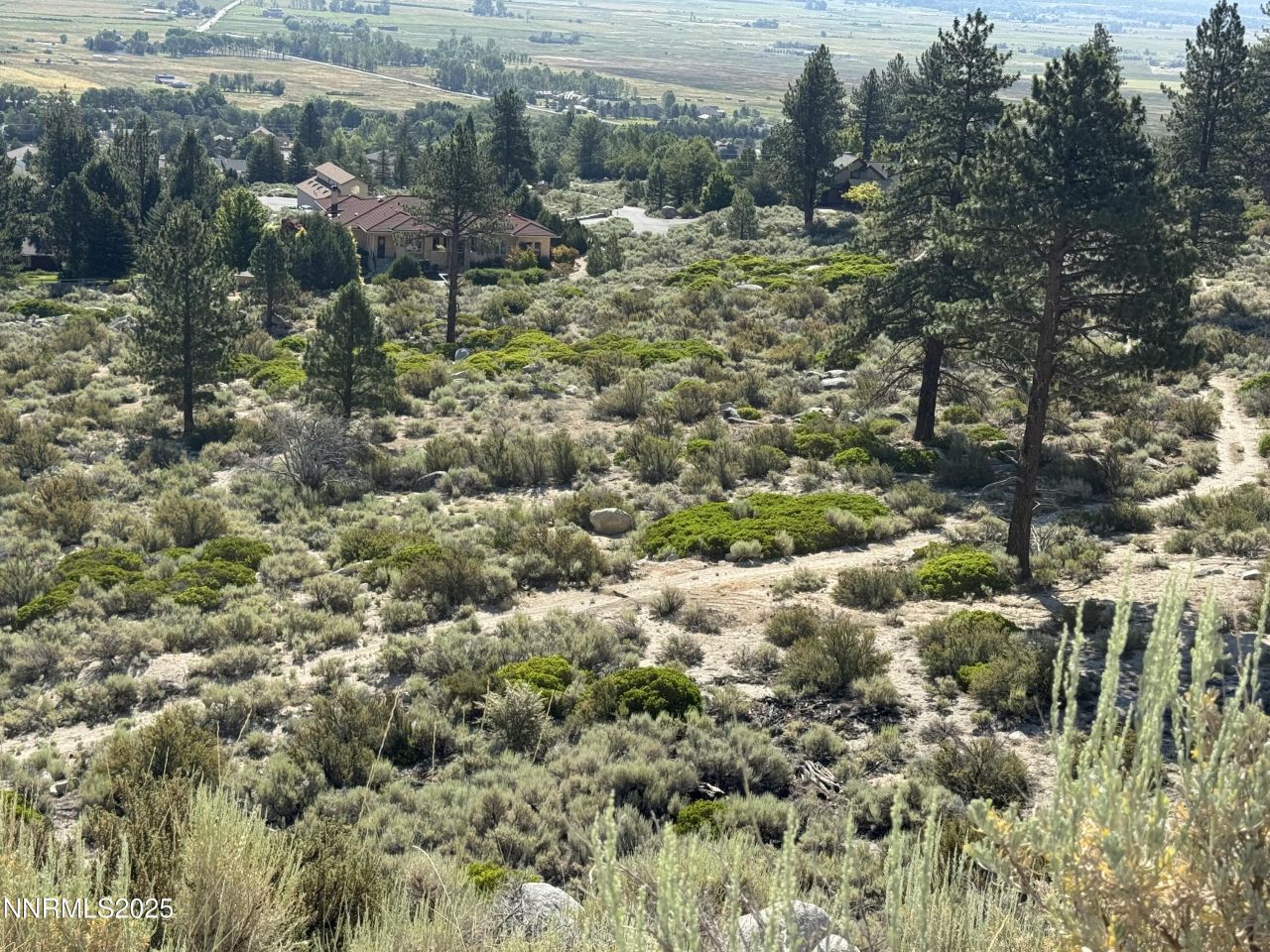 Tbd Kingsbury Grade, Gardnerville, NV 89460 Photo