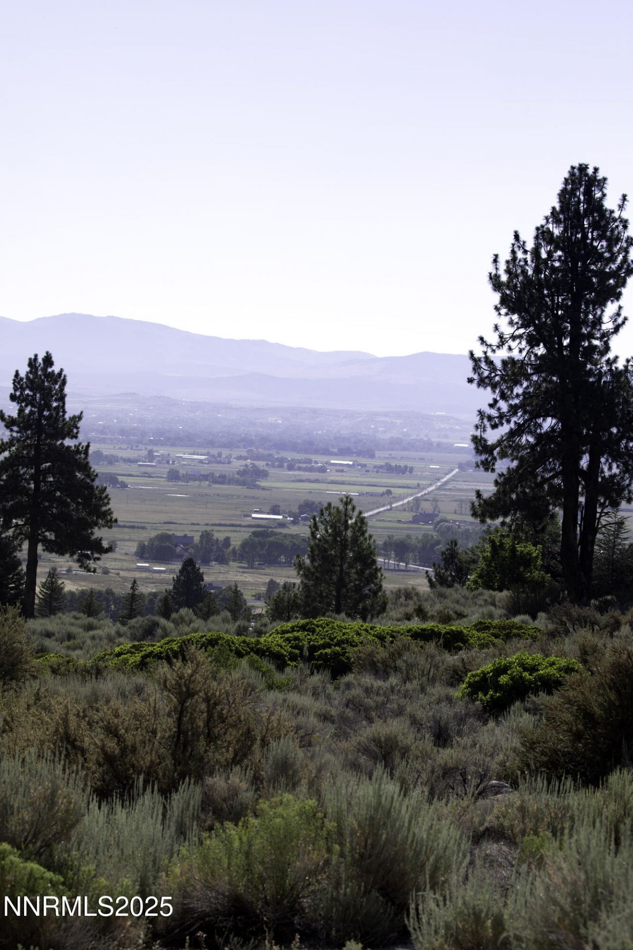 Tbd Kingsbury Grade, Gardnerville, NV 89460 Photo